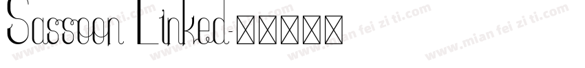 Sassoon Linked字体转换
